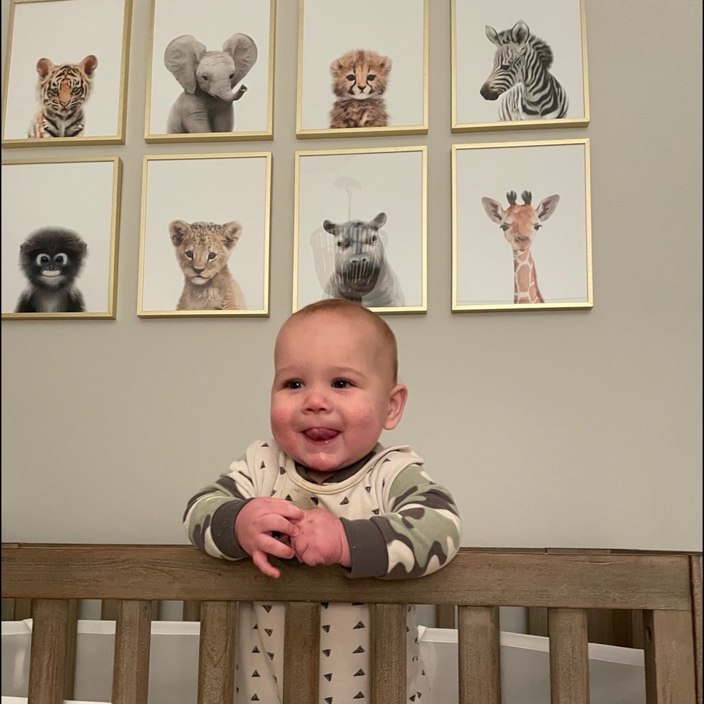 My babies are growing up…. - Picture 7 of 16